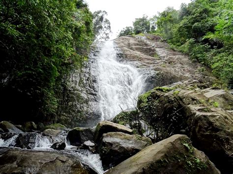 Trekking to Thusharagiri waterfalls in Kozhikode| Trekking Programmes ...