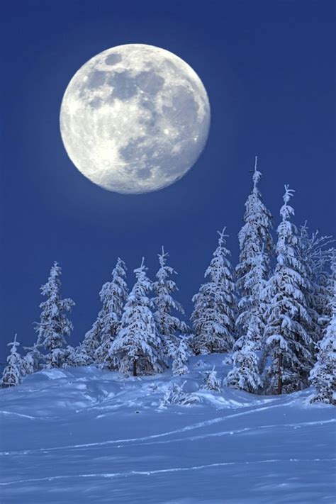 winter moon | Winter pictures, Winter scenes wonderland, Winter landscape