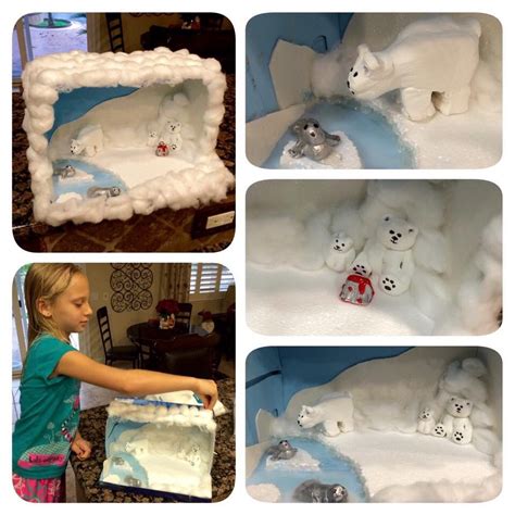 Polar Bear diorama school project. | School projects, Habitats projects, Biomes project