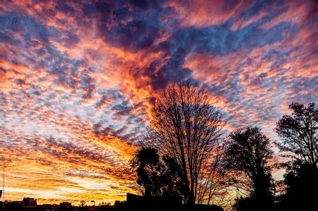 Cirrocumulus Clouds At Sunset - Sky & Nature Background Wallpapers on Desktop Nexus (Image 2492002)