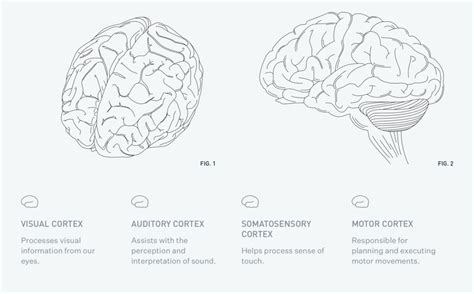 Everything You Need To Know About Neuralink