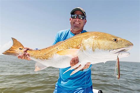 Red-Hot Fishing for Southern Reds - Game & Fish