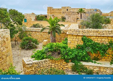 Among the Ruins of Rabat Citadel, Victoria, Gozo, Malta Stock Image - Image of bastion, landmark ...