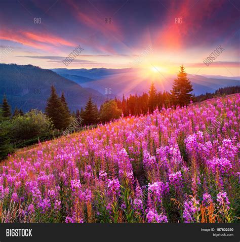 Colorful Summer Image & Photo (Free Trial) | Bigstock