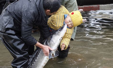 Increasing fish varieties reported in China's Yangtze River - Global Times