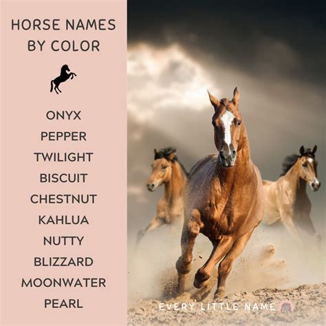 350+ Best Horse Names - Every Little Name