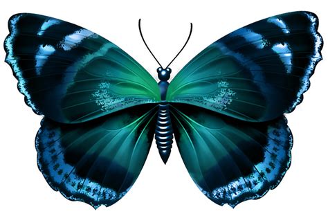 Blue Butterfly Png Transparent Image Png Arts | Images and Photos finder