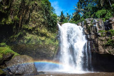 Ubud Waterfall Tour - Love, Explore & Chill