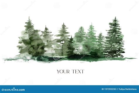 Evergreen Forest Stock Photography | CartoonDealer.com #26452598