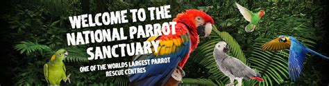 Lincolnshire Wildlife Park - The UK's largest collection of Tigers and Parrots