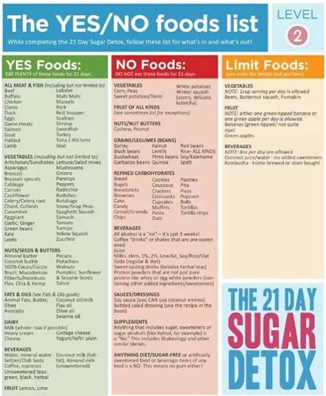 21-Day Sugar Detox Experience — Kayla Elease