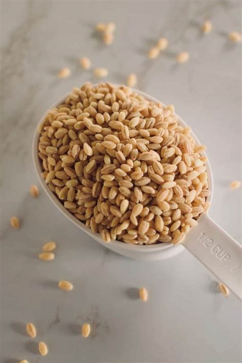 A Complete Guide to Cooking with Barley • The Incredible Bulks