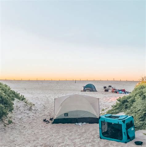 Camping with Wild Horses on Assateague Island - Allie Marie Travels