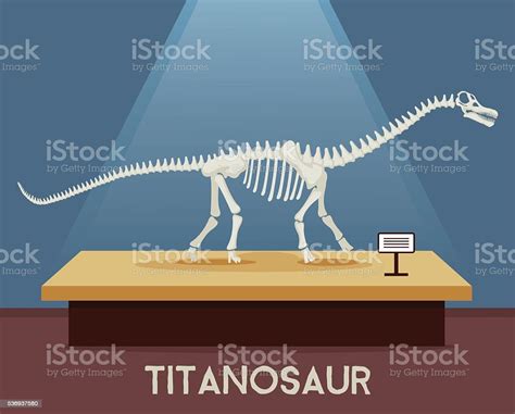 Titanosaur Bones Skeleton Stock Illustration - Download Image Now - Titanosaurs, Vector, Animal ...