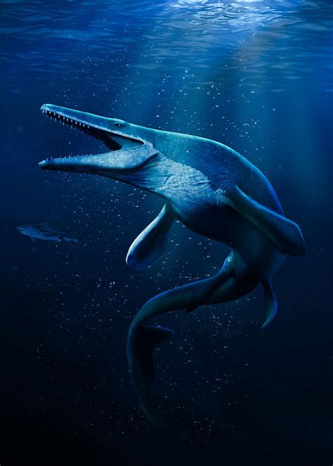 Mosasaurus Dinosaur Of The Deep Digital Art by Jon Alderman - Fine Art America