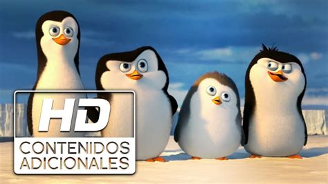 Nombres De Pinguinos De Madagascar - audittrend