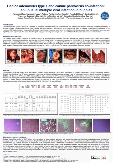 (PDF) Canine adenovirus type 1 and canine parvovirus co-infection: an ...