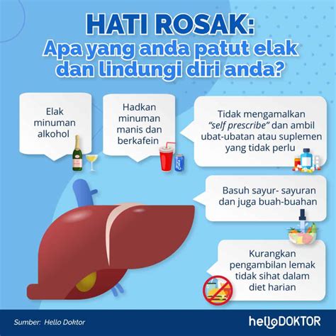 Fungsi Hati Manusia & Cara Untuk Jaga, Paling Penting Kena Vaksin?