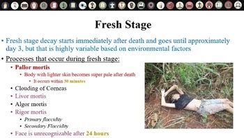 Stages Of Decaying Human Body