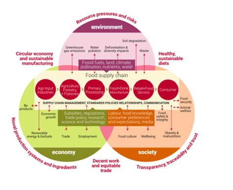 Sustainable Food Systems Framework – 3Keel