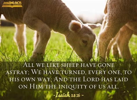 All we like sheep have gone astray; we have turned every one to his own ...