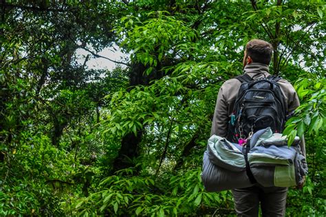 Your Outdoor Adventure Hiking Safety Guide | Trekbible