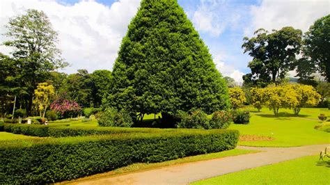 Royal Botanic Gardens, Kandy, Kandy - Book Tickets & Tours | GetYourGu