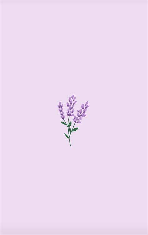 Lavender Aesthetic Wallpaper Download | MobCup