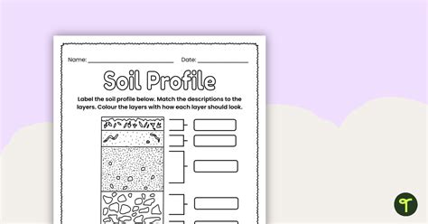 Label a Soil Profile – Worksheet | Teach Starter