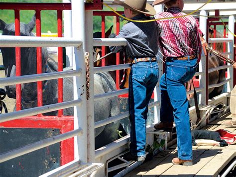 Williams Lake Stampede: Inside B.C.'s Cowboy Culture | Our Canada