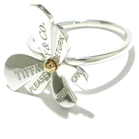 TIFFANY & CO. - Silvery Silver ref.435494 - Joli Closet