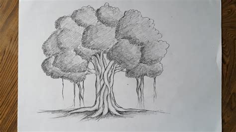 How to draw banyan tree easy steps - YouTube