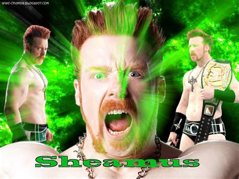 WWE CHAMPS: 'THE CELTIC WARRIOR' SHEAMUS