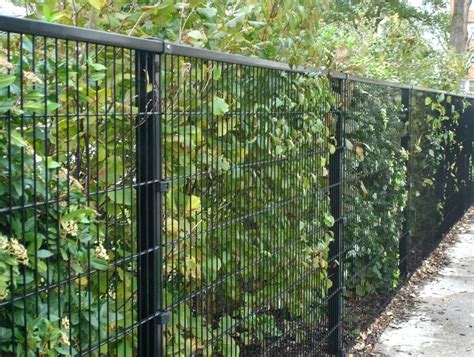 black garden metal - Bing | Mesh fencing, Welded wire fence, Garden fence