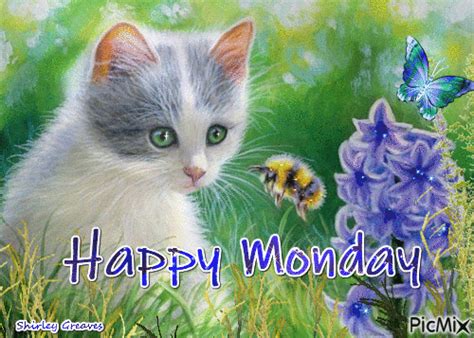 Cat Happy Monday Animation Pictures, Photos, and Images for Facebook ...