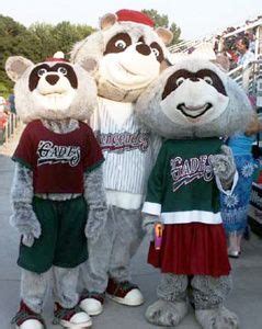 Hudson Valley Renegades mascots; Class A-Short Season, New York-Penn League. | Minor league ...