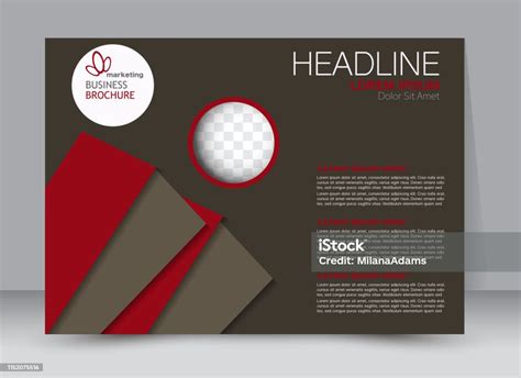 Flyer Brochure Billboard Template Landscape Stock Illustration - Download Image Now - iStock