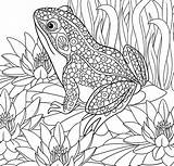 Tropical Coloring Pages To Print sketch template