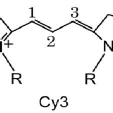 Draft scheme of the confinement procedure of Cy3 molecules on and... | Download Scientific Diagram