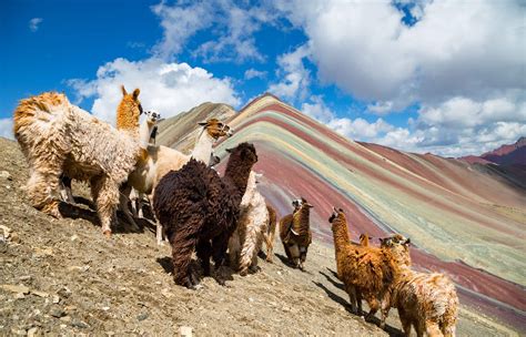 The Ultimate Rainbow Mountain Peru Travel Guide | Selina