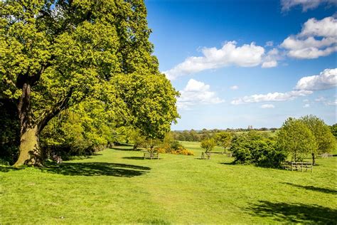 Beverley Westwood walk - Beverley walks - East Yorkshire walks