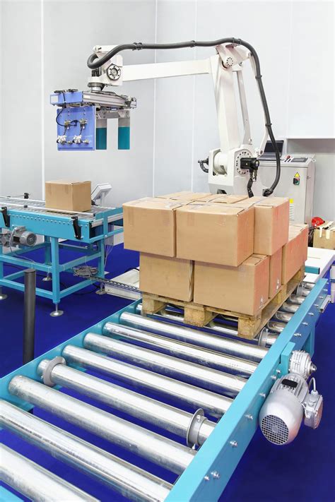 Robotic palletizer Defined for Industry Professionals | Hermary