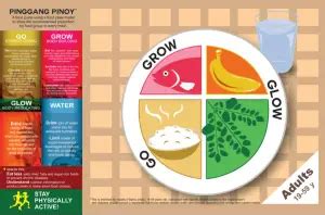 How To Eat Healthy: A Filipino's Guide To Go, Grow, Glow Foods - FilipiKnow