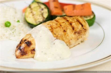 Grilled Chicken with Yogurt Sauce Recipe