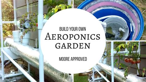 How to build a aeroponic system – Builders Villa