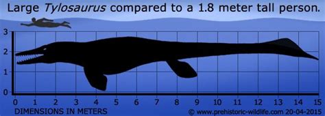 Tylosaurus | Prehistoric animals, Prehistoric creatures, Prehistoric wildlife