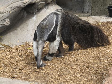 Cute Animals at the Zoo Today