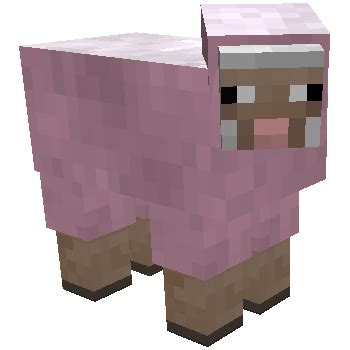 Pink Sheep - Kurtjmac Wiki