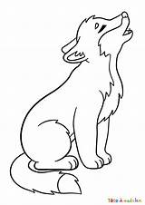 Loup Coloriage Dessin Colorier Animaux Coloring Et Imprimer Loups  sketch template