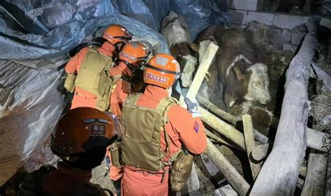 China earthquake: People injured and homes collapse as 7.1 magnitude ...